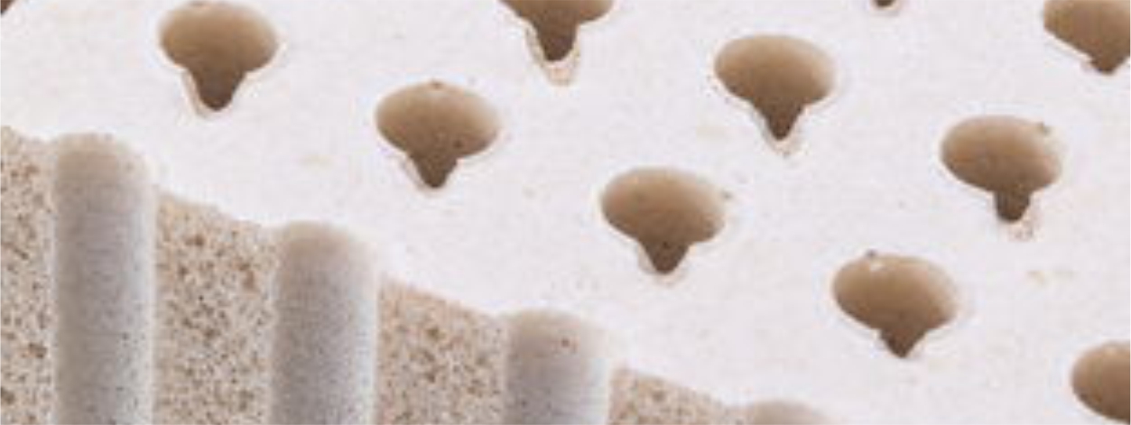 Tuscon Electropedid organic latex mattress